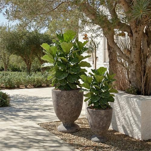 SAFAVIEH Outdoor - Ella Planter Pot with Drainage - Antique Brown Ficonstone Cement - Weather Resistant - Ideal for Patio, Garden, Backyard, 14.2" Wx 14.2" D x 18.1" H (PAT1549A) - color: Antique Brown