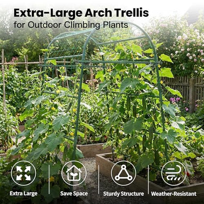 Garden Arch Trellis for Climbing Plants Outdoor, 7 Ft Tall Cucumber Trellis - size: 31.5"L x 50"W x 84"H - Arch Trellis