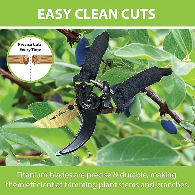 Garden Guru Soft Grip Garden Pruning Shears Scissors Clippers - Hardened Titanium Blades - Comfort Grips – Heavy Duty Bypass Hand Pruners Branch Cutters - for Gardening Trimming Bushes Flowers Plants - size: 1 Pack, style: Soft Grip Titanium Bypass