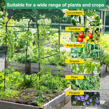 Garden Arch Cucumber Trellis for Climbing Plants 6.7ft Black - size: 78.7 x 31.5 x 31.5 in, Arch, Black