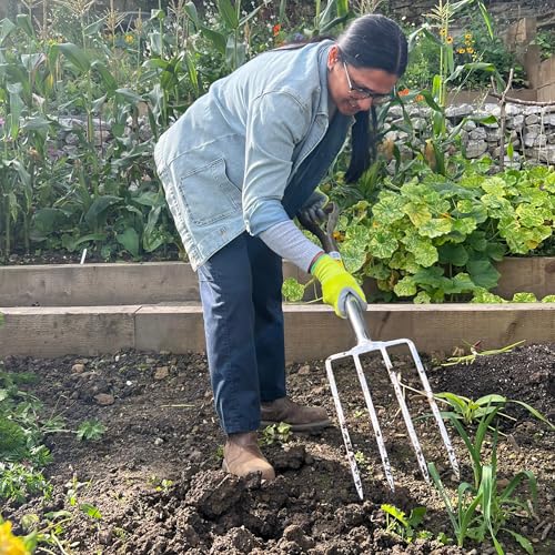 Spear & Jackson Traditional Stainless Steel Digging Fork, Heavy Duty Durable Stainless Steel Garden Tool, Ideal for Digging, Aerating, and Turning Soil - style: Digging Fork