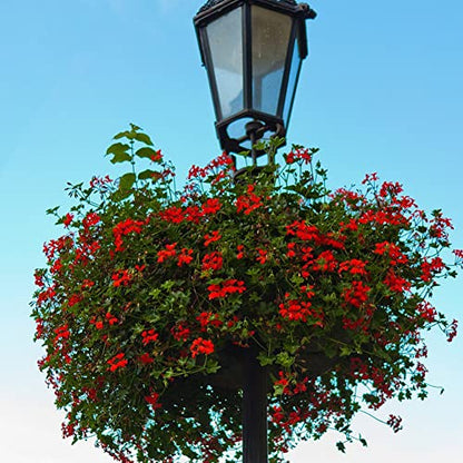 4PCS Coco Liner for Hanging Basket - 10 Inch Round - 100% Natural Planter Liner Replacement - color: 4pcs, size: 10inch