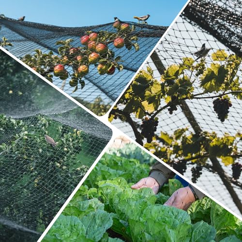 GWHOLE Black Garden Netting, 33 x13 Ft Bird Netting for Garden Plant and Tree Protection, Chicken Coop Pond Net, Black - size: 33x13 ft, 0.6 inch mesh (Black)