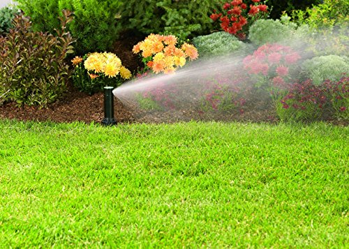 Orbit Watermaster 55461 Voyager 4-Inch Adjustable Pop-Up Gear Drive Sprinkler Head, Black, 2 Count (Pack of 2) - size: 4-Pack, style: Hard Cap