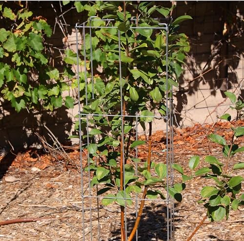 2 Pack 12x39 Inch Galvanized Folding Square Tomato Cages - size: 39in Sq-Galvanized-2Pack