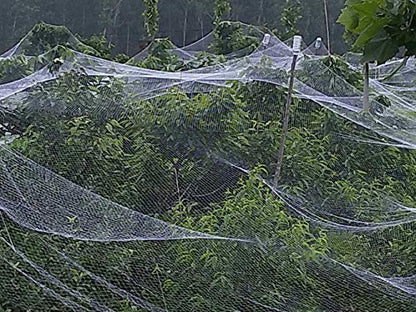Anti-Aging Orchard Anti-Hail Netting Vegetable Garden Hail Protect Netting,16.3x75ft - size: 16.3x75ft