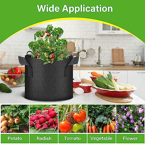 HealSmart 6-Pack 3 Gallon Nonwoven Grow Bags, Aeration Fabric Pots with Handles, Suitable for Garden Fruits, Vegetables and Flowers, Black - color: Black, 6 Pack, size: 3 Gallon