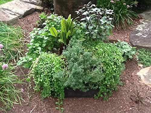 3ft X 3ft Victory 8 EZ-GRO MD SQ Raised Bed AeroFlow Proprietary Fabric Grow Your OWN No Assembly - size: 3x3 Feet