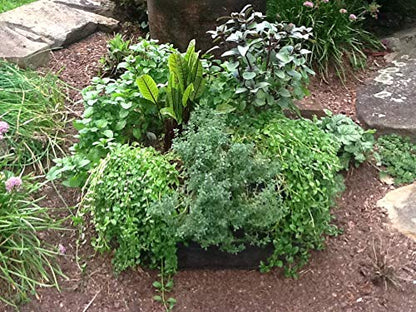 3ft X 3ft Victory 8 EZ-GRO MD SQ Raised Bed AeroFlow Proprietary Fabric Grow Your OWN No Assembly - size: 3x3 Feet