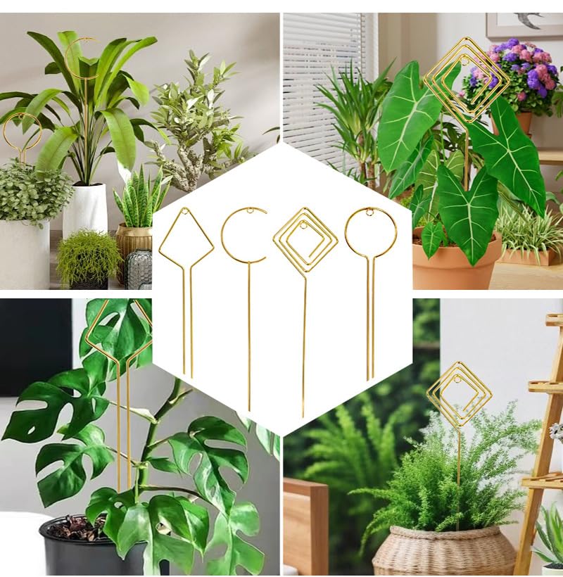 Indoor Plant Trellis 4 Pcs Small Hoop Mini Climbing Plant Support