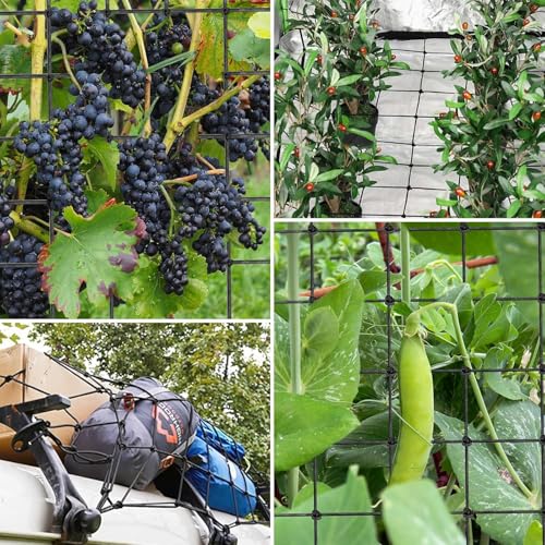 2x2 Ft Heavy Duty Elastic Trellis Netting for Climbing Plants -2-Pack Plant Support Net with 4 Hooks, Durable Polyester Mesh for Grow Tents, Vegetables, Fruits & Flowers (Black) - size: 2x2ft Stretched size-3mm d