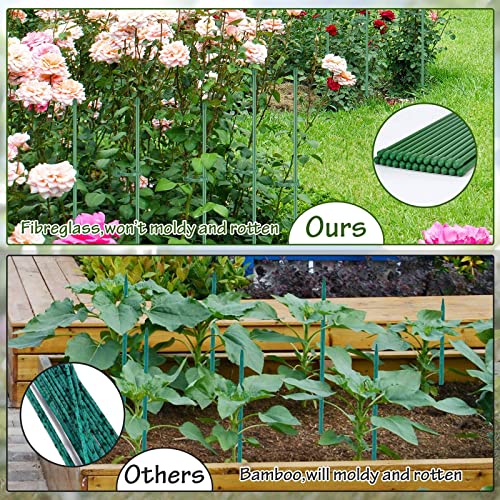 76pcs Plant Stakes for Indoor Plants, 25 Pack 16 inch Plant Support Stakes