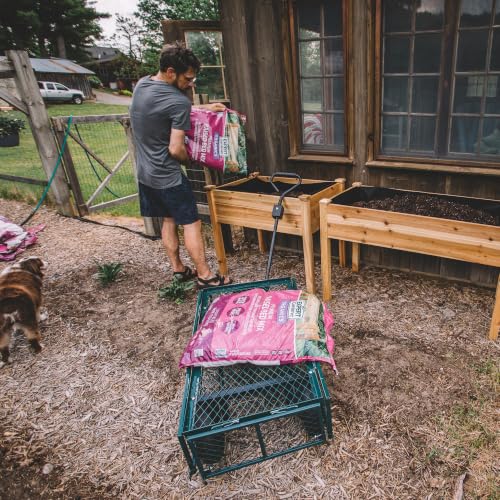 Backyard Expressions Heavy Duty Garden Cart 600 lb, 38" x 20" Steel Bed Utility Wagon with Removable Mesh Sides, Powder-Coated Frame, 10" Pneumatic Wheels, Pull Handle Yard/Lawn Hauler - style: 600 Lb (2026)