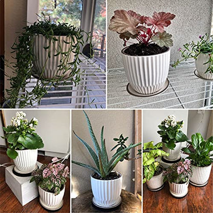 D'vine Dev 2-Pack Stoneware Planter Pots, 4.5/5.8 in, Ivory, 99-D-1 - color: Ivory