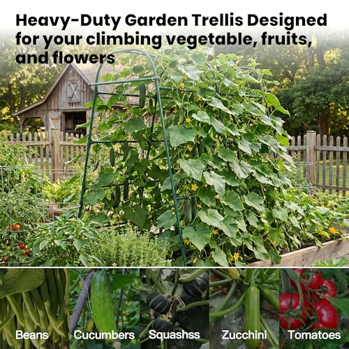 Garden Arch Trellis for Climbing Plants Outdoor, 7 Ft Tall Cucumber Trellis - size: 63"L x 50"W x 84"H - Arch Trellis