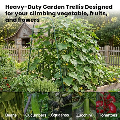 Garden Arch Trellis for Climbing Plants Outdoor, 7 Ft Tall Cucumber Trellis - size: 63"L x 50"W x 84"H - Arch Trellis
