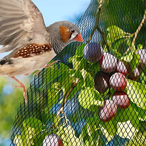 PACETAP Pond Netting Kit 15 x 20 Ft for Leaves, Heavy Duty Koi Pond Cover, Pool Protective Cover Netting with Stakes Protecting Koi Fish from Birds, Cats, Predators - size: 15x20