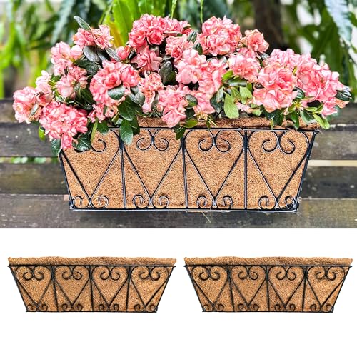 LaLaGreen Metal Wall Planter (16 in, 2 Pack) Black Coco Liner Flower Boxes - size: 16" (41cm)x2 Pack