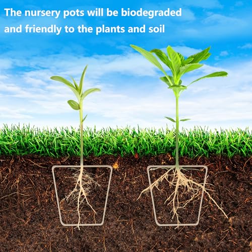 PURPLE STAR 1N 20 Pcs Biodegradable Nursery Pots with Humidity Dome- 2.3 Inch Square Seeding Starter Pot for Planting- Peat Pots for Seedlings Garden Vegetable Flower Germination - color: S-20pcs
