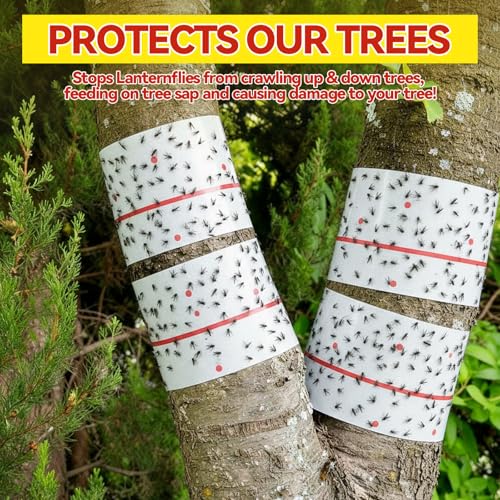 10 Rolls Sticky Fly Trap 30 ft Each, White - color: White