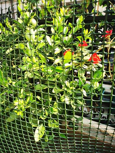 PotatoLife Green Plastic Garden Fence, Hardware Mesh, 4' x 50' - color: Green, size: 4' x 50'