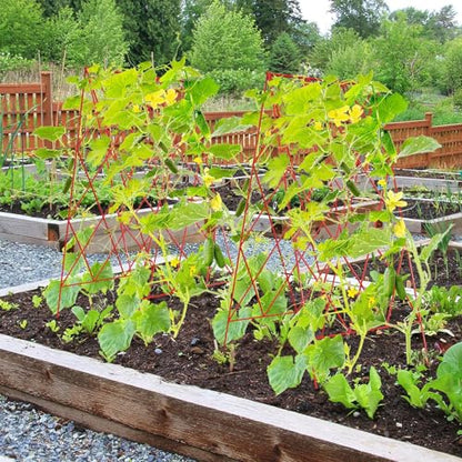 Cucumber Trellis 2 Pack,Foldable A-Frame Garden Trellis - color: Garnet Red, size: 39.4" H