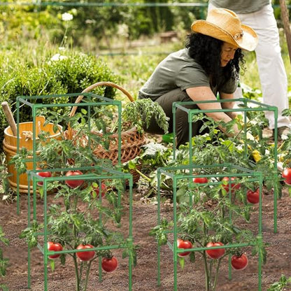 ZeeDix 4 Pack Square Tomato Cages for Garden with Clips 45 Inch - color: Green-4 Pack, size: 45-inch