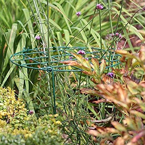 MTB Supply 10 Pack 16 x 24 inch Green Peony Cages Grow Through Plant Support Stakes Flower Support Hoops Heavy Plants Brace Rings - size: Grid 10pack