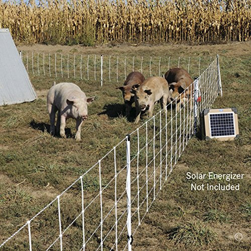 Premier 1 Pig QuikFence® Electric Fence for Pigs – 30"H x 100'L