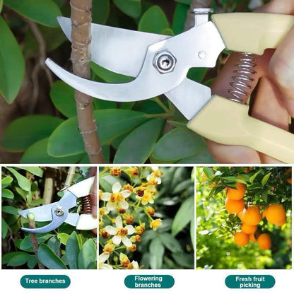 Garden Scissors for Plant, Tip Pruning Shears for Cutting Flowers, Trimming Plants, Bonsai and Fruits Picking