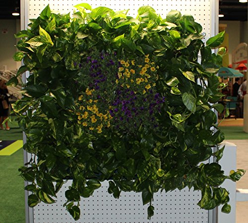Bloomers Wall Flowers Vertical Gardening System – Create Gardens on Walls – Holds up to 4 Potted Plants – Black - color: Black, size: Wall Planter
