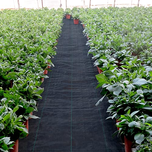 VEVOR Weed Barrier Fabric Heavy Duty 3x300 FT, 5.8oz Landscape Fabric, Woven Garden Fabric Weed Barrier, Weed Blocker Fabric, Weed Control Fabric Ground Cover, Geotextile Fabric, Gardening Mat, Black - size: 3FT*300FT-5.8OZ, style: Woven