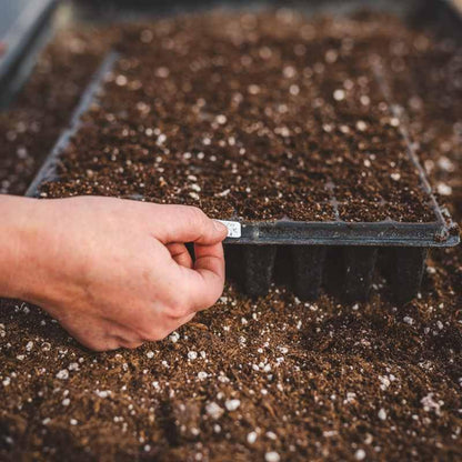 Bootstrap Farmer 128 Cell Seed Starting Tray Extra Thick Black 30 Trays - size: 30 Cell Trays