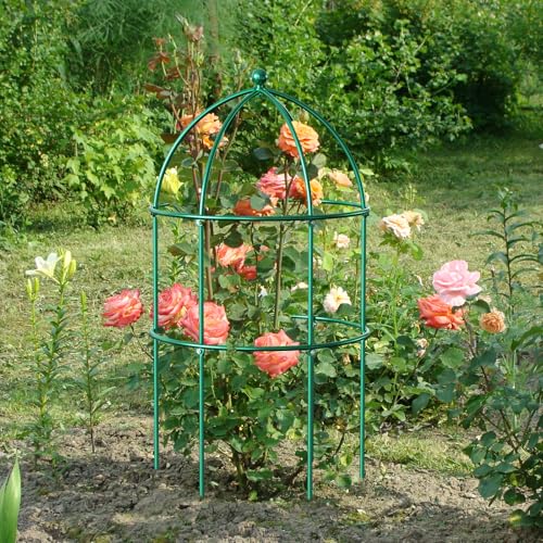 DoCred 6 Pack Peony Cage, 15.7" x 31.5" Metal Plant Support Garden Trellis - size: 31.5"H x 15.7"W/6PC