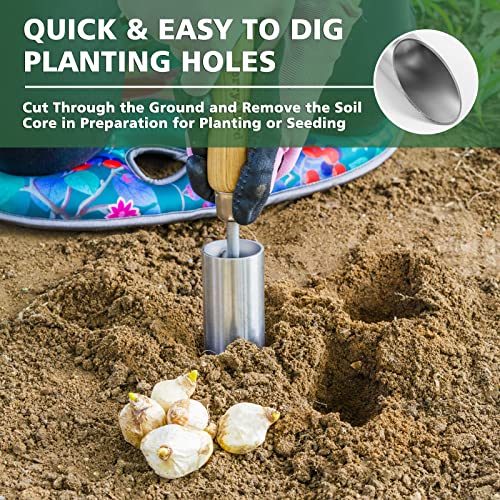 Bulb Planter Tool, 12" Seed Planter Tool Dibber Garden Tool - size: 12.5in Bulb Planter