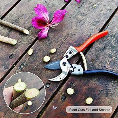 TONMA 8" Anvil Pruning Shears, Made in Japan, Heavy Duty Garden Shears TP-4 - style: Anvil Pruning Shears (Orange)