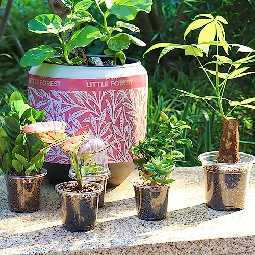 Bonviee Clear Nursery Pots with Humidity Domes, 3.5/4/5 Inch, 36-Pack - size: 3.5/4/5 Inch-36 Packs