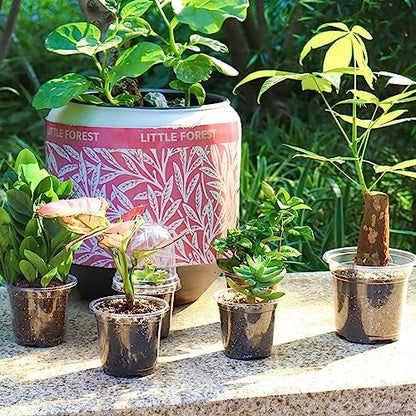 Bonviee Clear Nursery Pots with Humidity Domes, 3.5/4/5 Inch, 36-Pack - size: 3.5/4/5 Inch-36 Packs