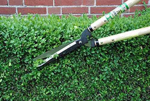 230 Okatsune Cutting Shears, Type 65, 7740ai - size: 30.7 inches