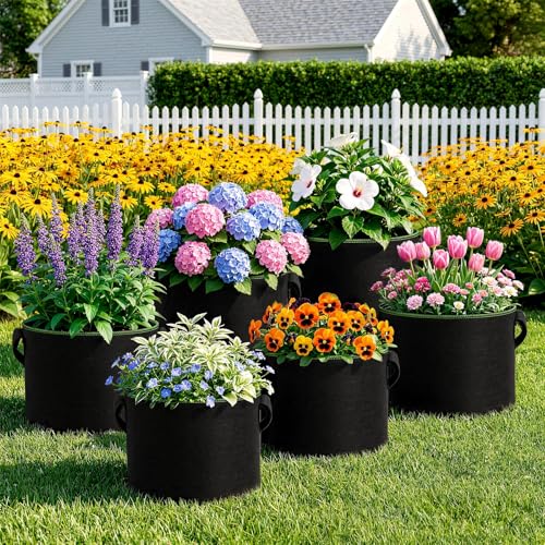 CHRORINE 6-Pack 5 Gallon Grow Bags 300G Thickened Aeration Fabric Pots with Handles Suitable for Planting Plants Flowers and Fruits - size: 5 Gallon