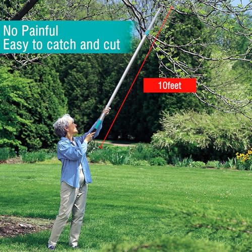 Altdorff Tree Pruner Extendable, Tree Trimmers Long Handle Pruner, Extra Length to 10ft, Telescopic Pole Pruner with Rotate Head, Smooth Clean Cut, Ideal For Removing High Branches and Fruit Picking