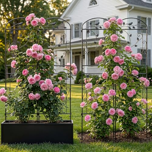 4 Pack Garden Trellis for Climbing Plants, 71 x 20 inch Rustproof Heavy Duty Metal Trellis for Climbing Rose Vine Clematis, Perfect for Premium Patio Decor & Luxury Outdoor Garden Design, Silver Gray