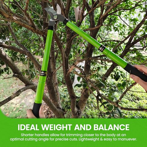 Garden Guru Bypass Loppers Tree Trimmer Clipper w/Telescopic Handle 15–22" - High Carbon Steel Blade Gardening Loppers Pruning Shear - Comfort Grip Handles – Branch Cutter (2 Pack) - size: 2 Pack, style: Extendable Bypass Loppers