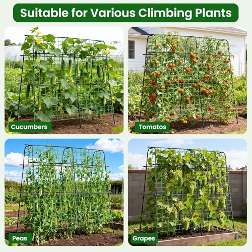 OTOSUNNY Cucumber Trellis for Raised Garden Beds, 5.3x5.3ft Garden Arch Trellis for Outdoor Climbing Plants, 0.55" Reinforced Metal Tomato Trellis for Grape Vines Tomatoes Peas Beans Vegetables, Black