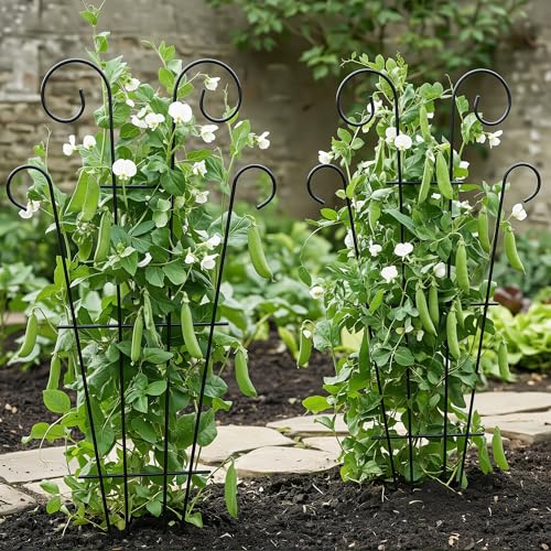 Thealyn 4 Pack 23 Inch Plant Trellis for Potted Plants - size: 23 inch