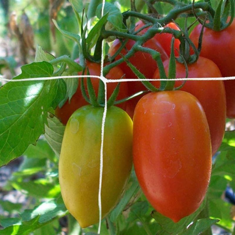 Polyester Trellis Netting Garden Plant Climbing Support Mesh for Vine Vegetables and Flowers