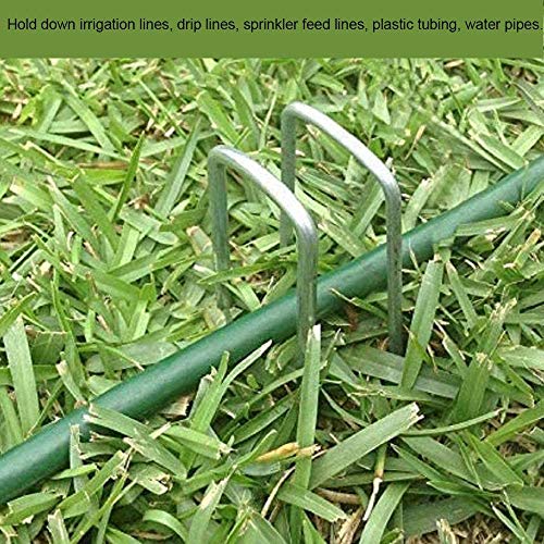 AAGUT Landscape Staples 6 Inch Galvanized Anti-Rust Garden Stakes 11 Gauge - color: Silver, size: 6'' x 50Pcs-11Ga