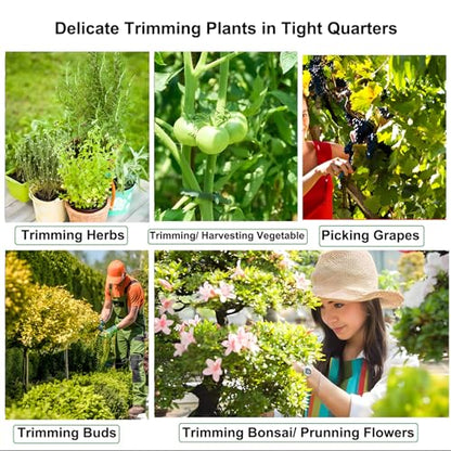 4 Pack Pruning Shears 6.5 Inch Stainless Steel Garden Scissors - color: Orange