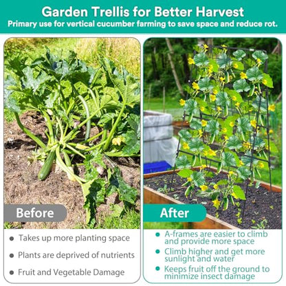 2Packs 17 x 42 Inch Garden Trellis for Raised Beds Foldable Climbing Plant Support Cucumber Trellis Outdoor A-Frame Metal Vegetable Bean Trellis with Garden Supplies for Grape Tomato Peas Flower - size: 2packs 17 x 42 Inch