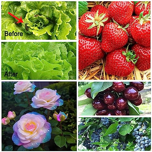 RIFNY Garden Netting for Raised Beds Garden Protection Plant, 2 Pcs 8x24Ft - color: White-2 Pack, size: 8x24 ft